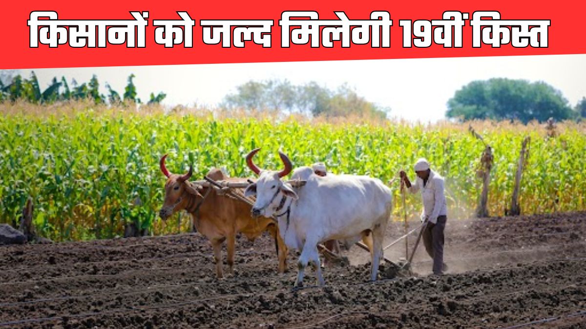 पीएम किसान योजना की 19वीं किस्त जल्द जारी होगी।
