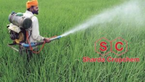 Sharda Cropchem Target Price